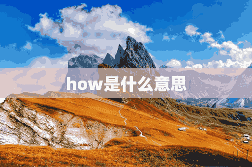 how是什么意思(how是什么意思中文)